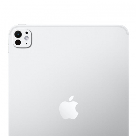 планшет apple ipad pro 11 m5 (2025) 256gb wi‑fi + cellular, серебристый (silver)