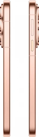 huawei pura 80 12/256gb prestige gold